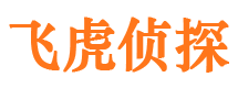 嘉黎市场调查